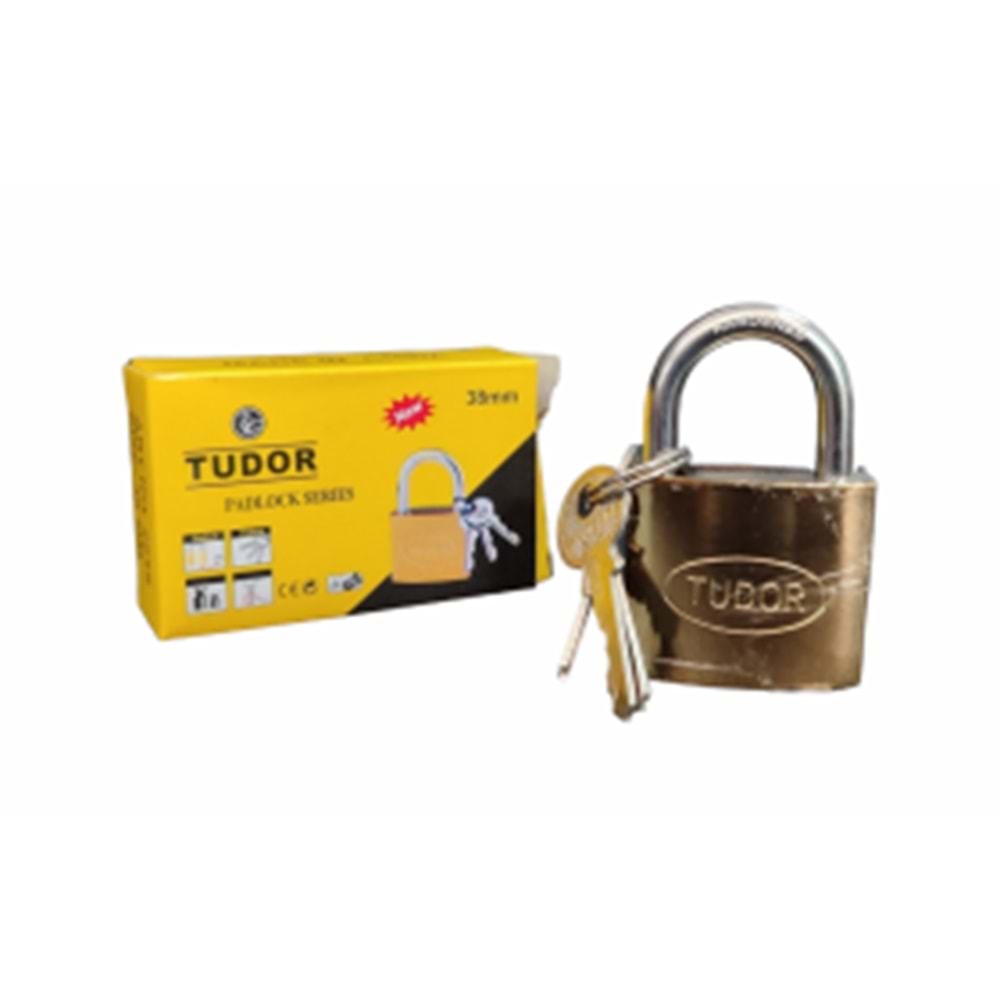TUDOR 38 MM SARI ASMA KİLİT