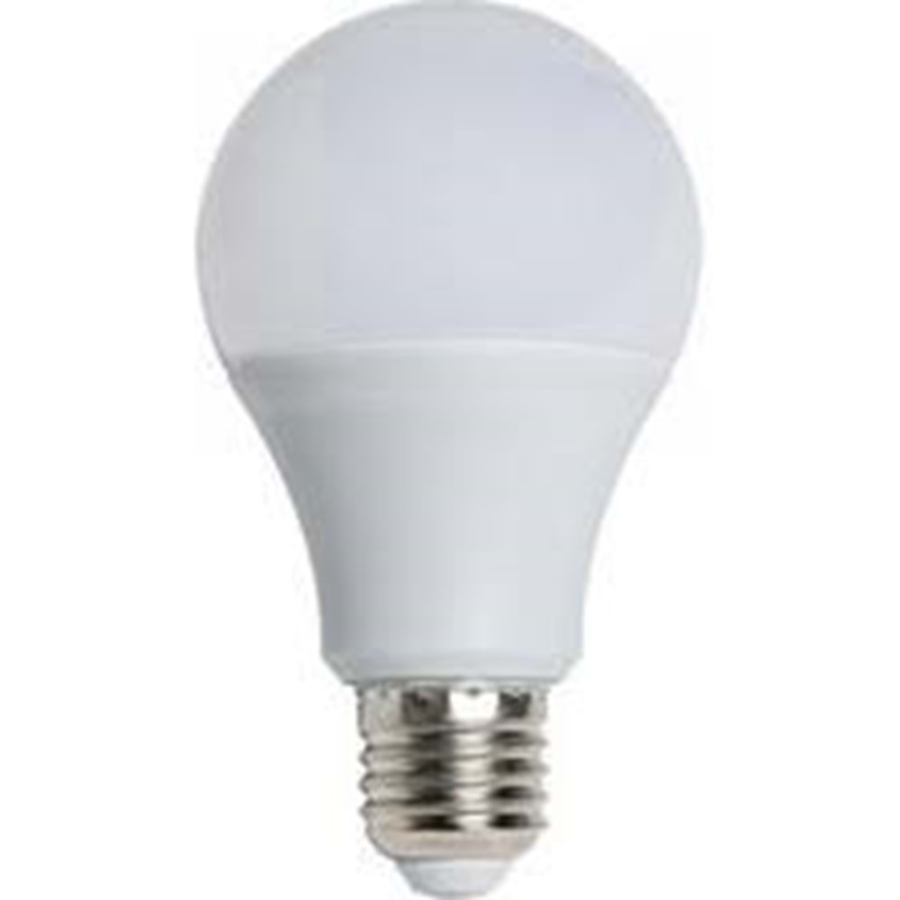 WINLIGHT 50 WAT TORCH AMPÜL (50)